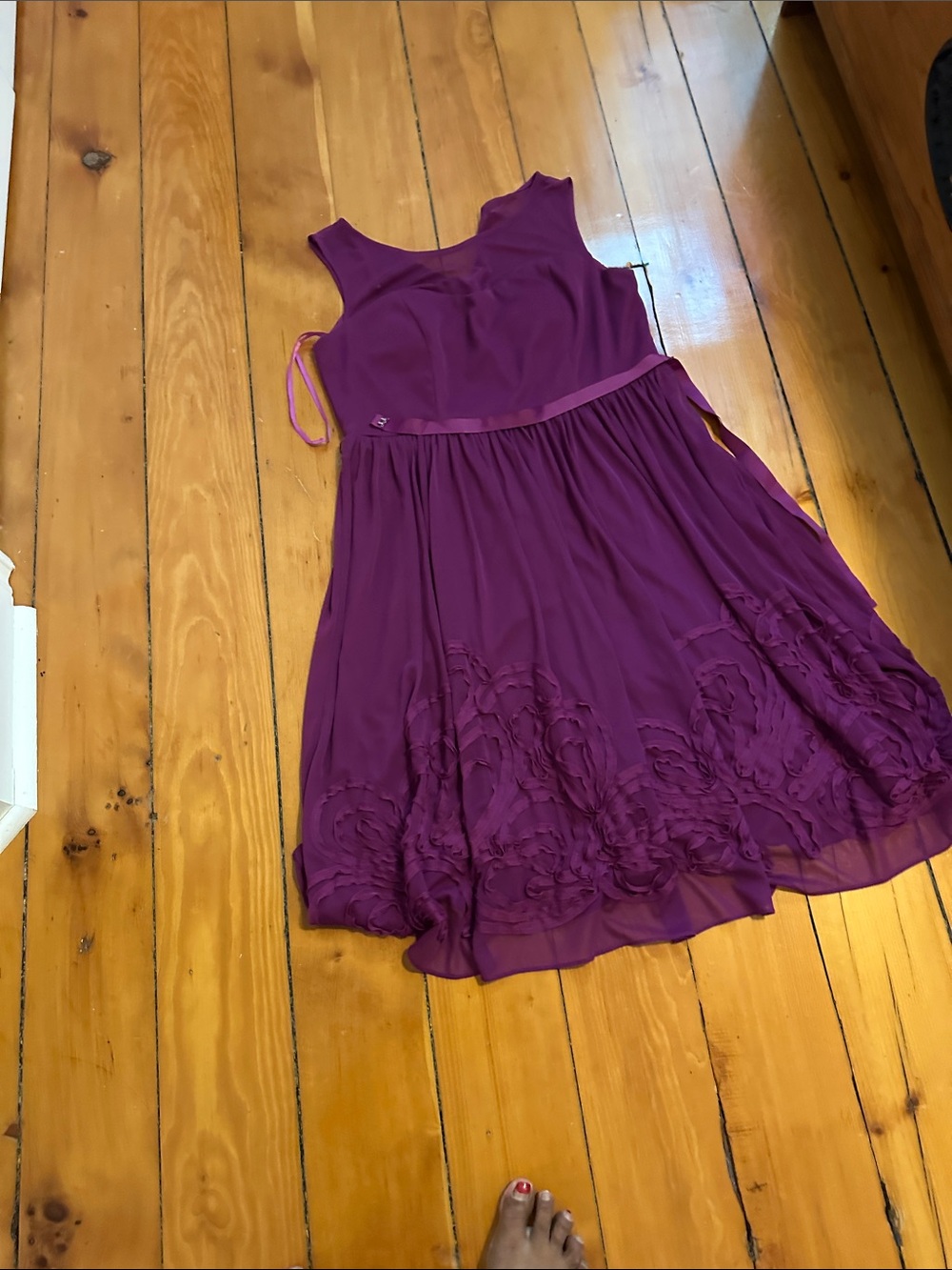 Jolie Plum Sleeveless Chiffon Party Dress with Embroidered Hem